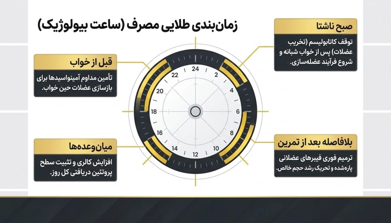 بهترین زمان مصرف پودر سفیده تخم مرغ جهت افزایش وزن