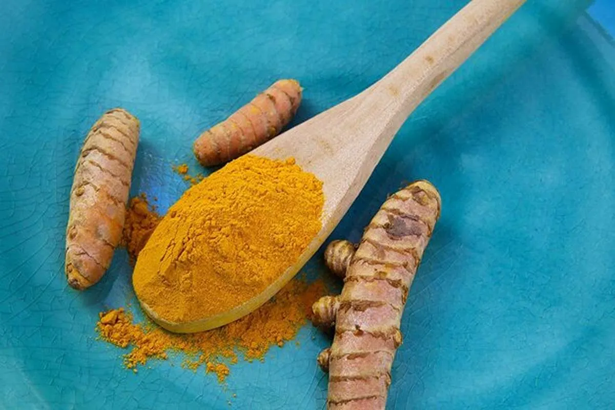 طرز تهیه دمنوش زرد چوبه برای لاغری-خواص زرد چوبه برای لاغری-پارسی پودر وبلاگ تخصصی تغذیه و سلامت