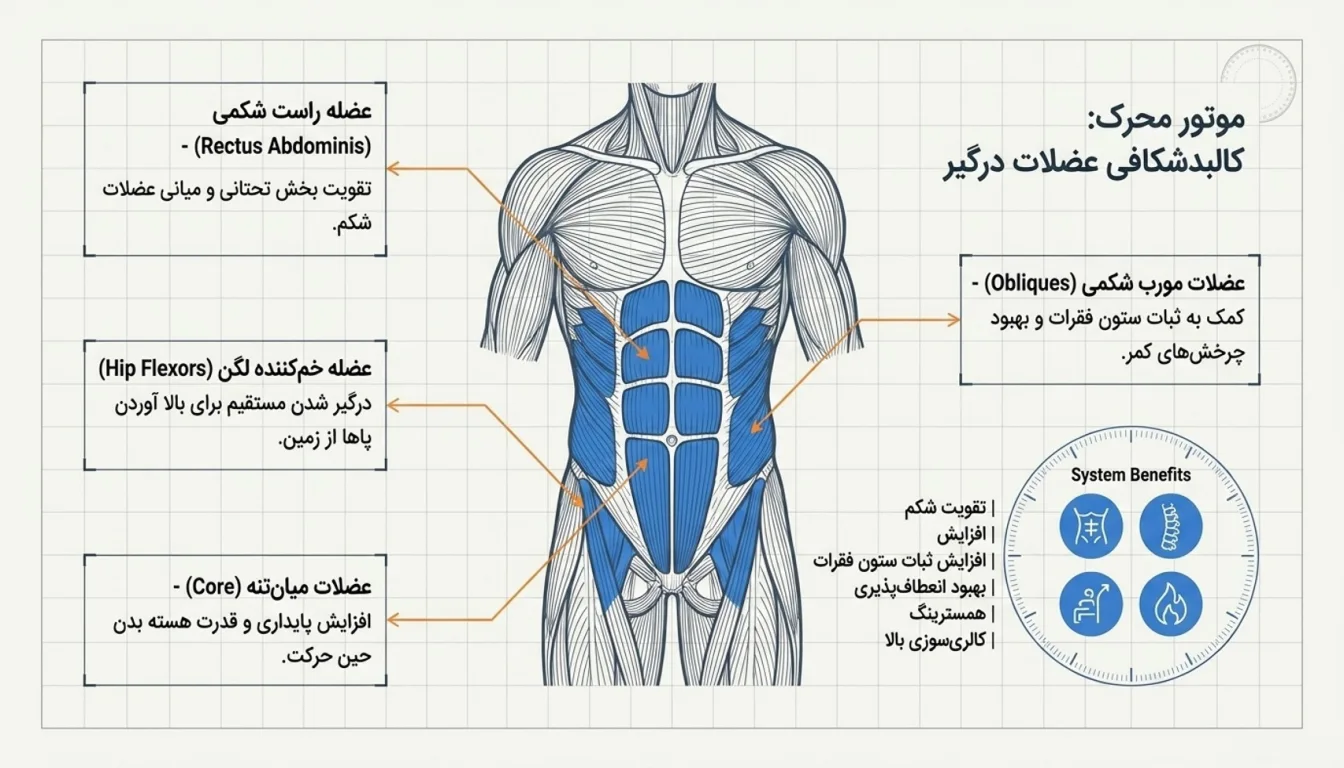 عضلات درگیر در حرکت لگ رایز