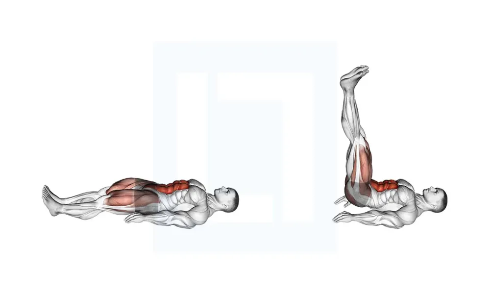 لگ رایز خوابیده