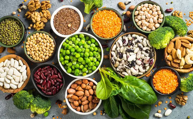 پروتئینهای گیاهی