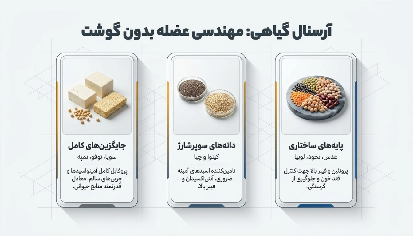غذا های گیاهی پروتئین دار برای عضله سازی