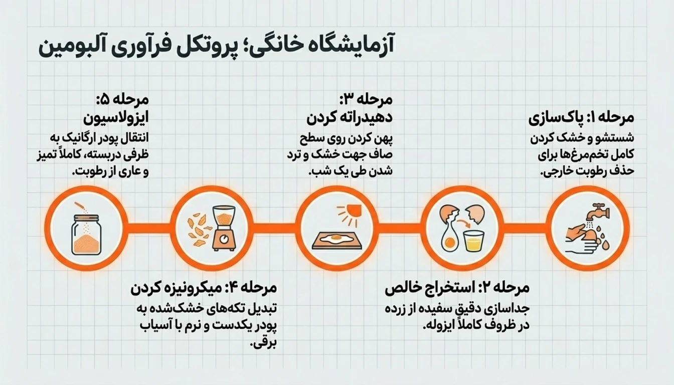 طرز تهیه پودر سفیده تخم مرغ در خانه (گام به گام)