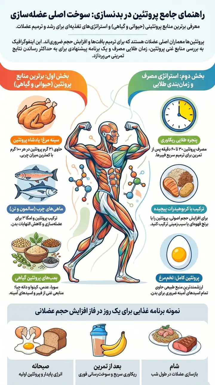 بهترین غذا های پروتئین دار برای بدنسازی