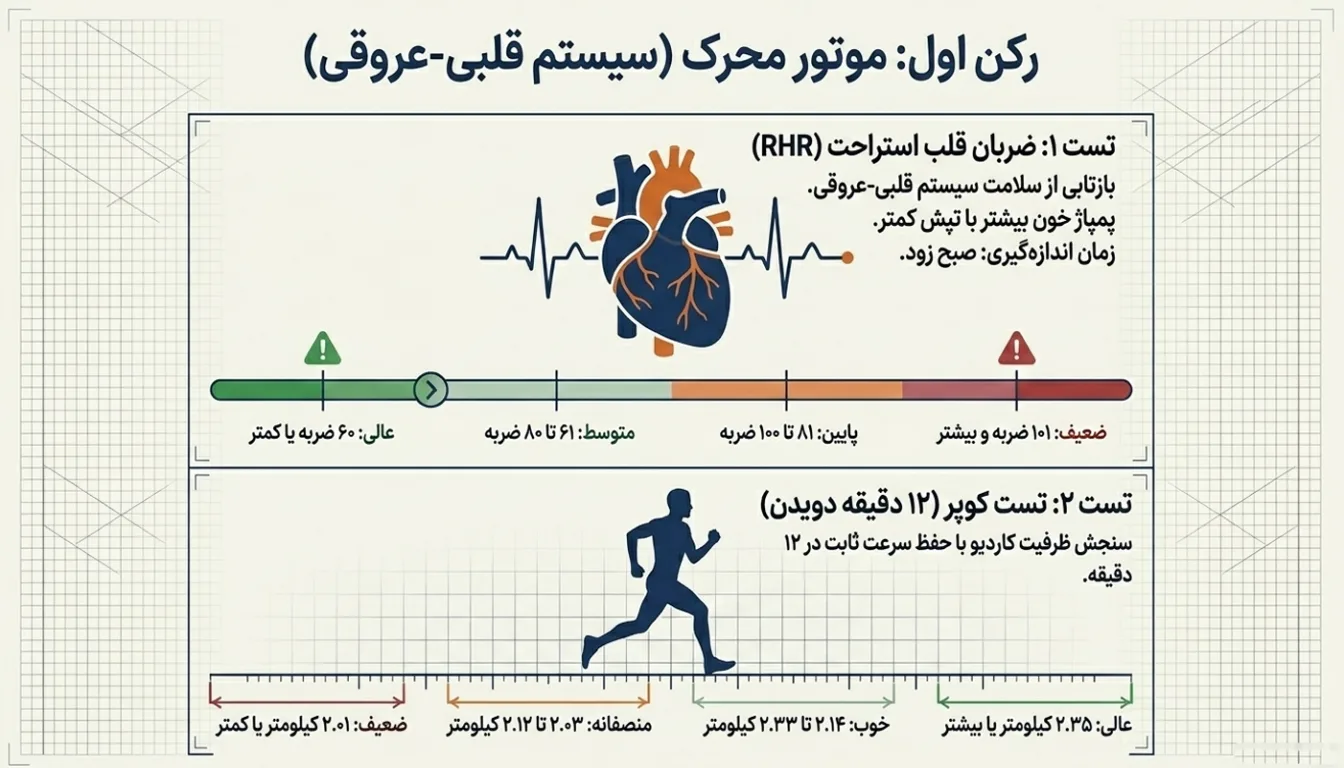 تست ضربان قلب استراحت (RHR) | تست آمادگی جسمانی