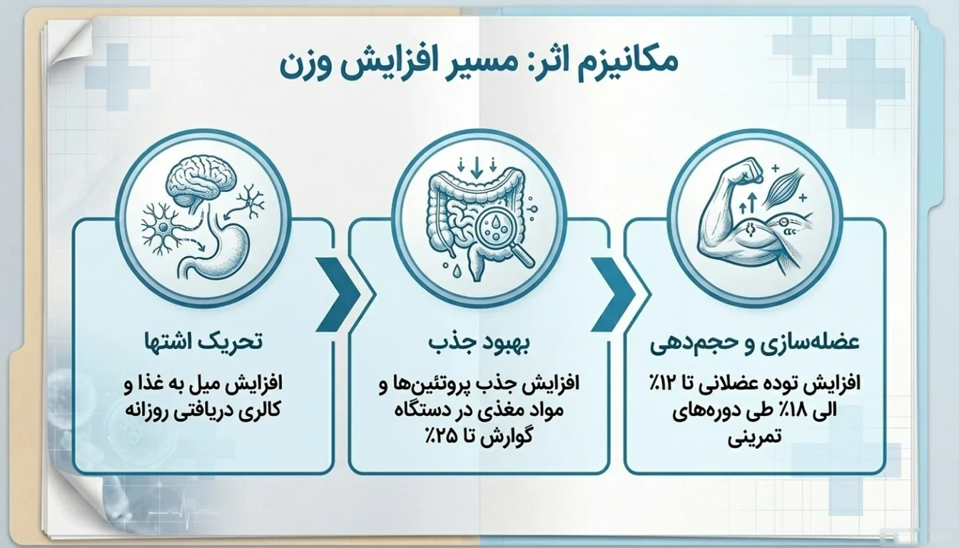 فواید پودر چاقی اپل