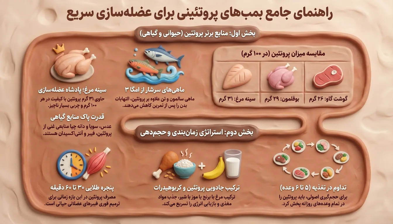 راهنمای بهترین غذا های پروتئین دار برای عضله سازی