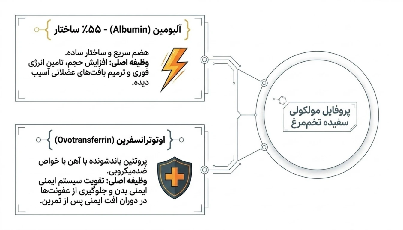 بررسی ترکیبات پروتئینی موجود در پودر سفیده تخم مرغ