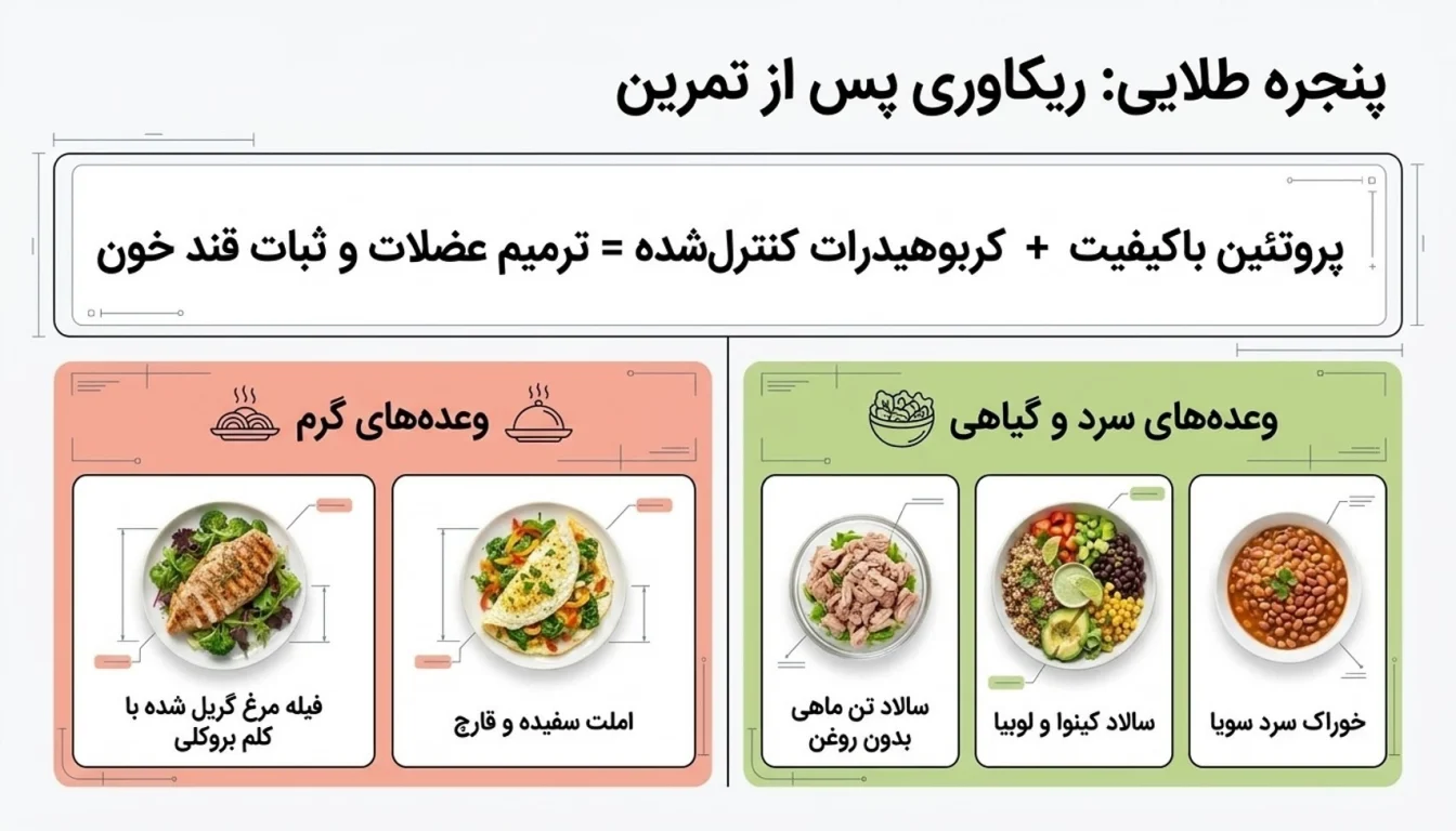 غذا های پروتئین دار بعد باشگاه برای لاغری
