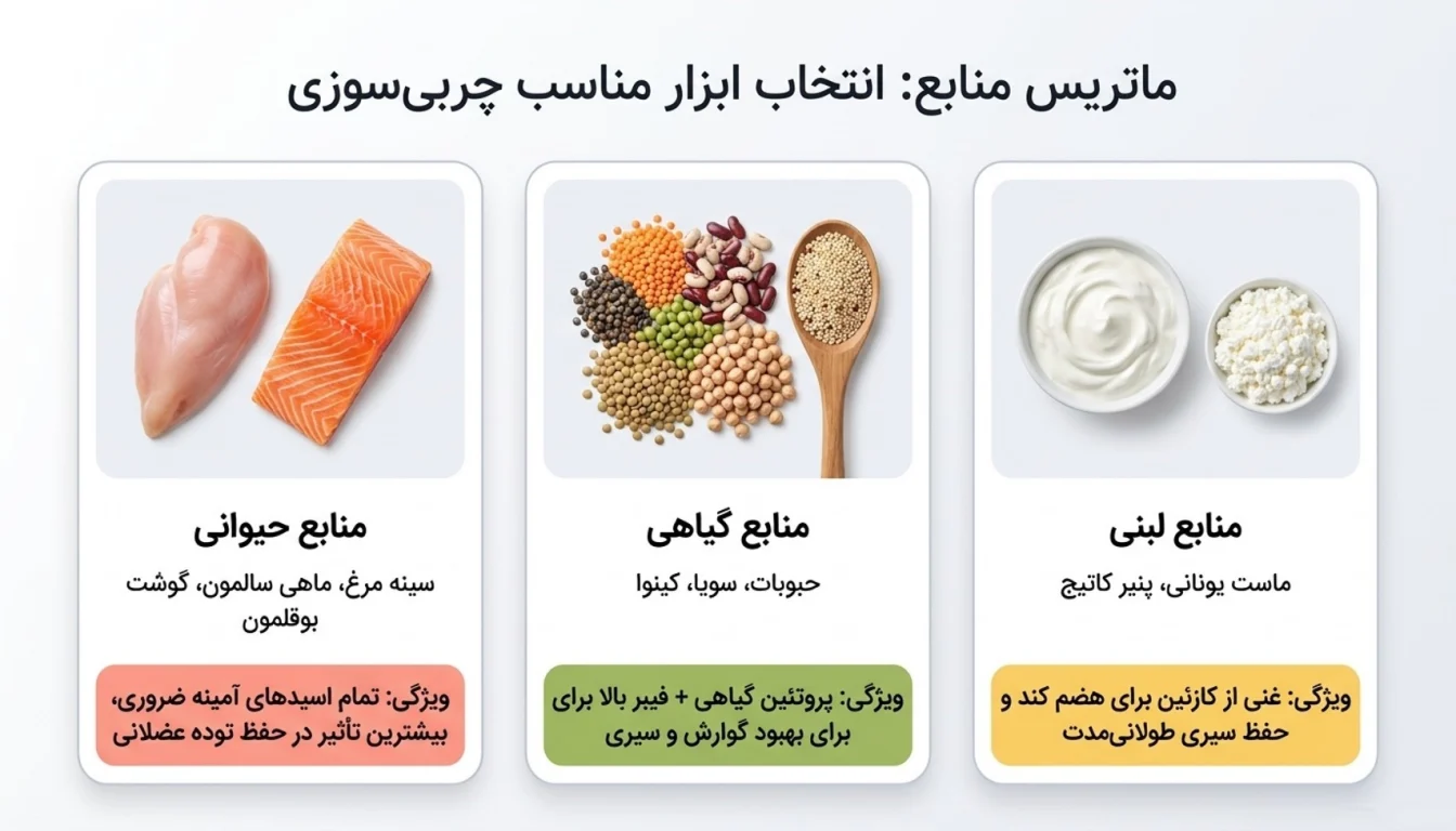 بهترین غذا های پروتئین دار برای کاهش وزن