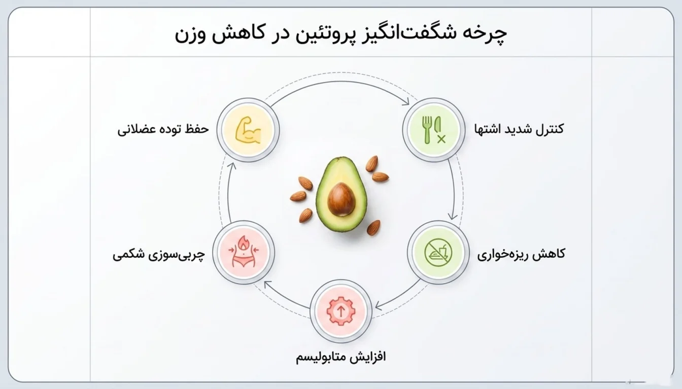 مزایای مصرف غذا های پروتئین دار برای لاغری