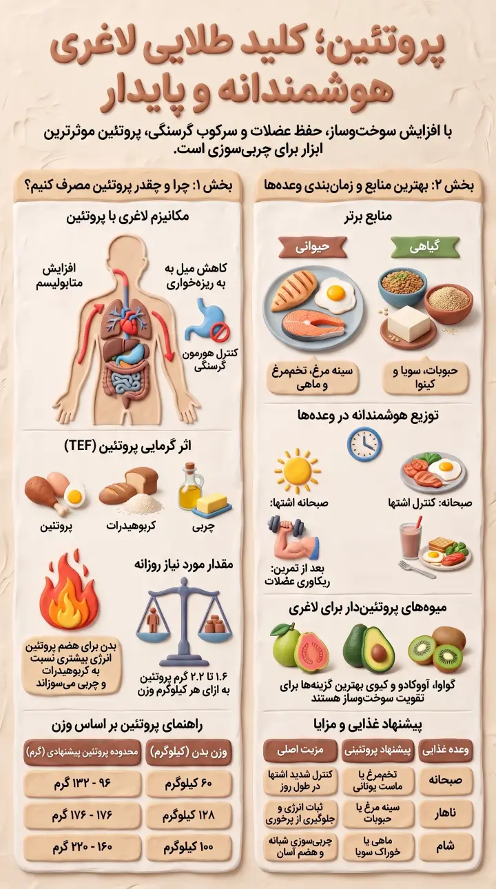 غذا های پروتئین دار برای لاغری-کاهش وزن