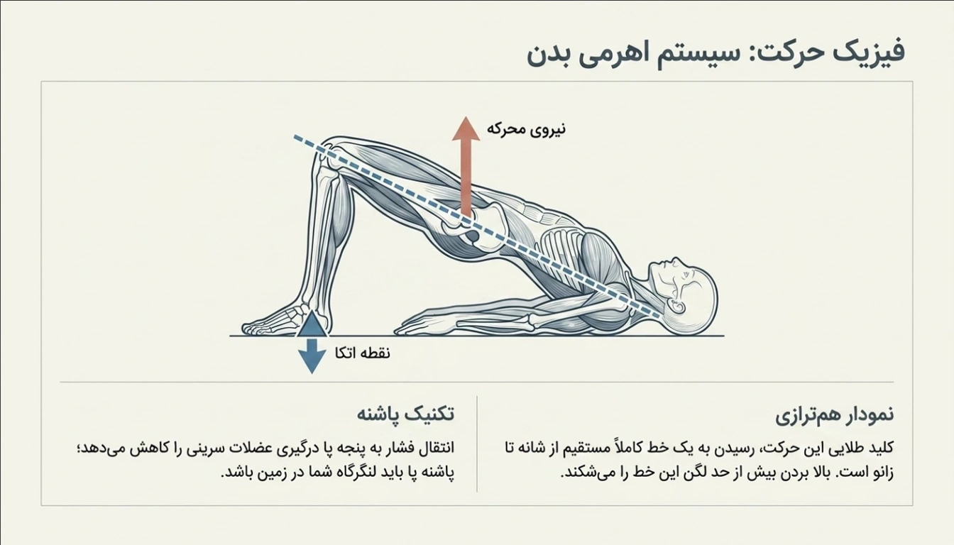 حرکت پل باسن