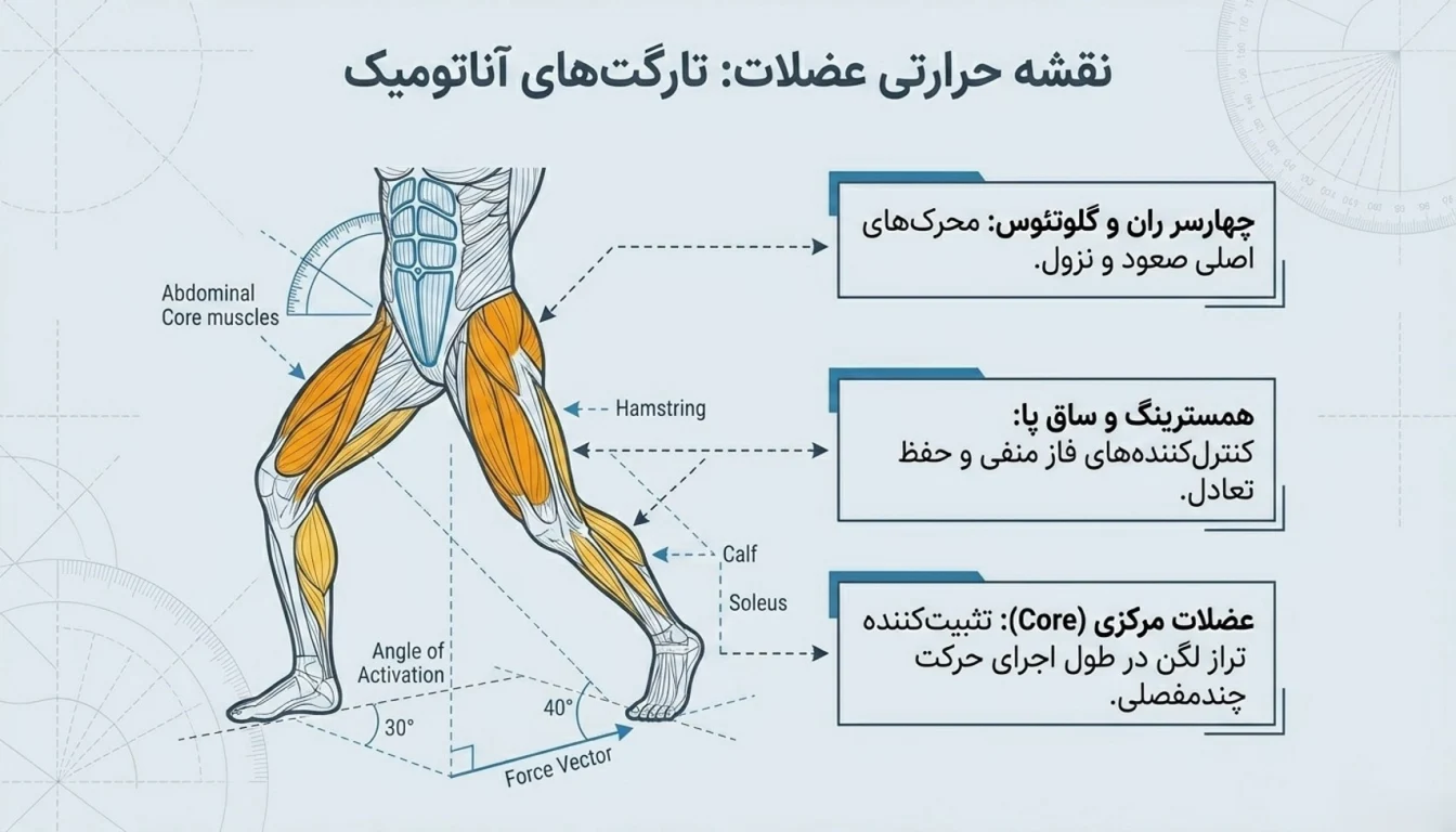 عضلات درگیر در حرکت لانچ بلغاری