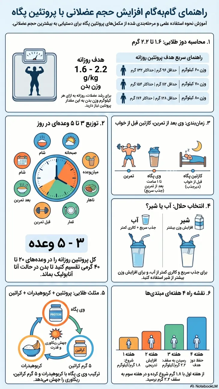 اقزایش حجم عضلات با پروتئین پگاه