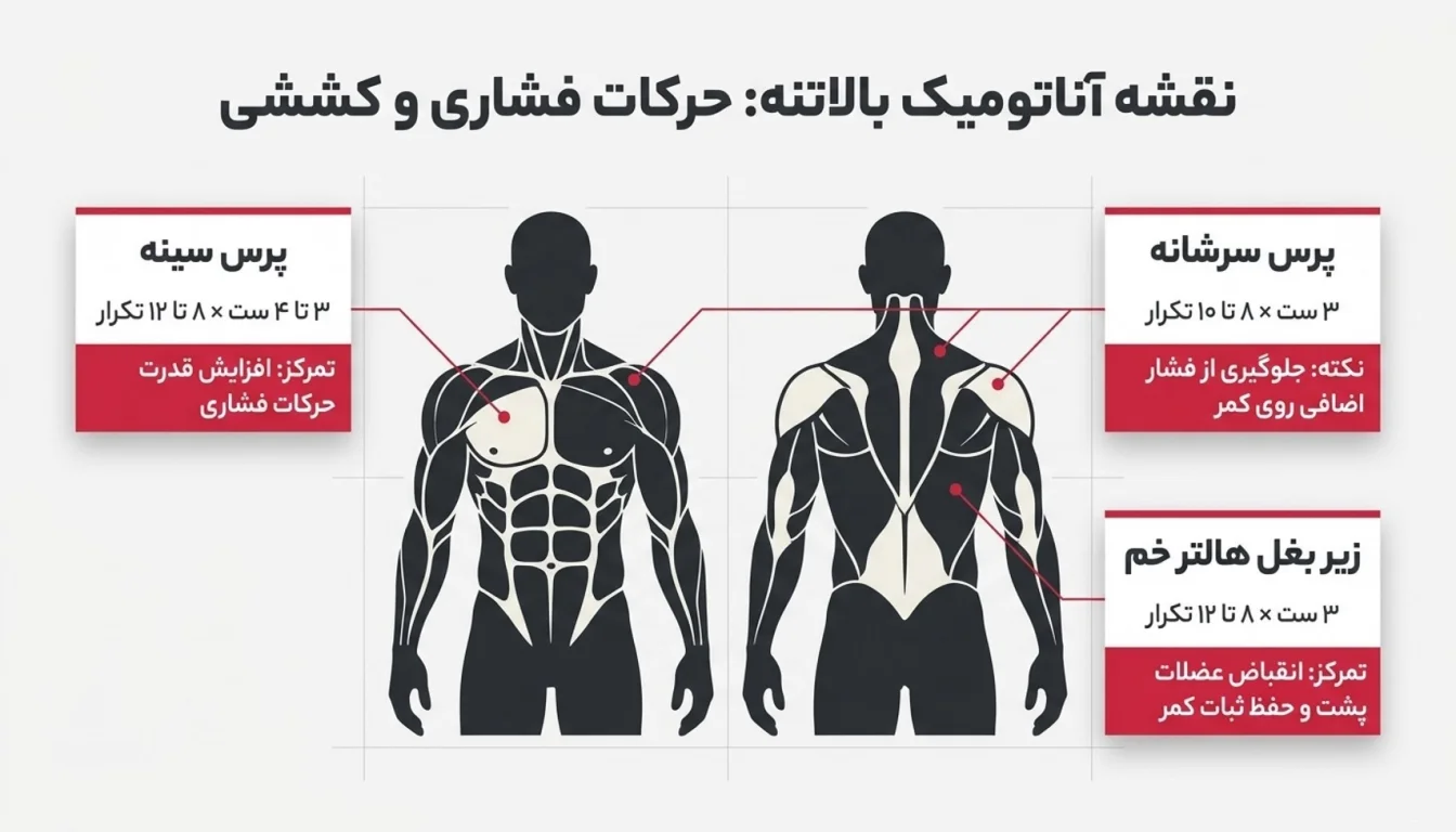 پرس سینه در فول بادی-پرس سرشانه در فول بادی-تمرینات فول بادی-پارسی پودر