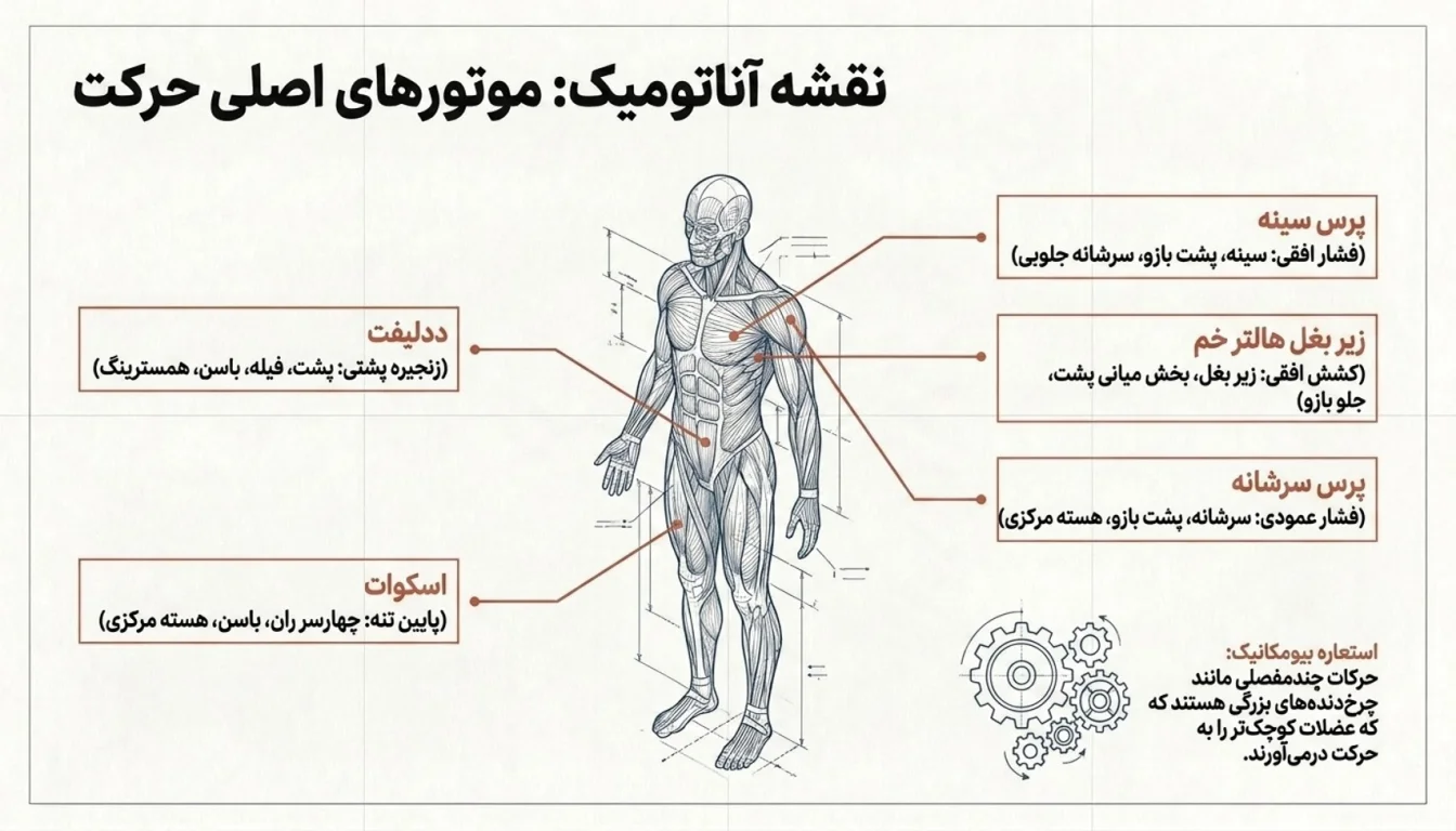 بهترین حرکات فول بادی-پارسی پودر