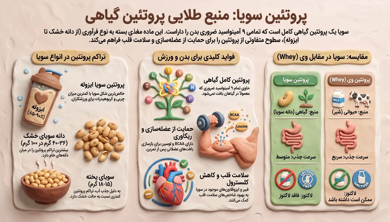 سویا چقدر پروتئین دارد-فواید سویا-پروتئین سویا-انواع سویا-پارسی پودر