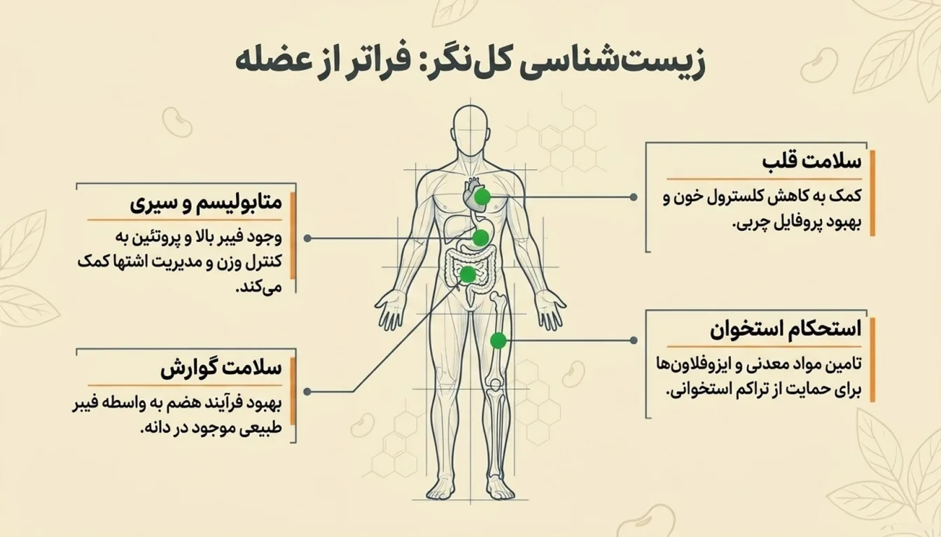 فواید پروتئین سویا چیست-خواص پروتئین سویا-فواید سویا-خواص سویا-پارسی پودر