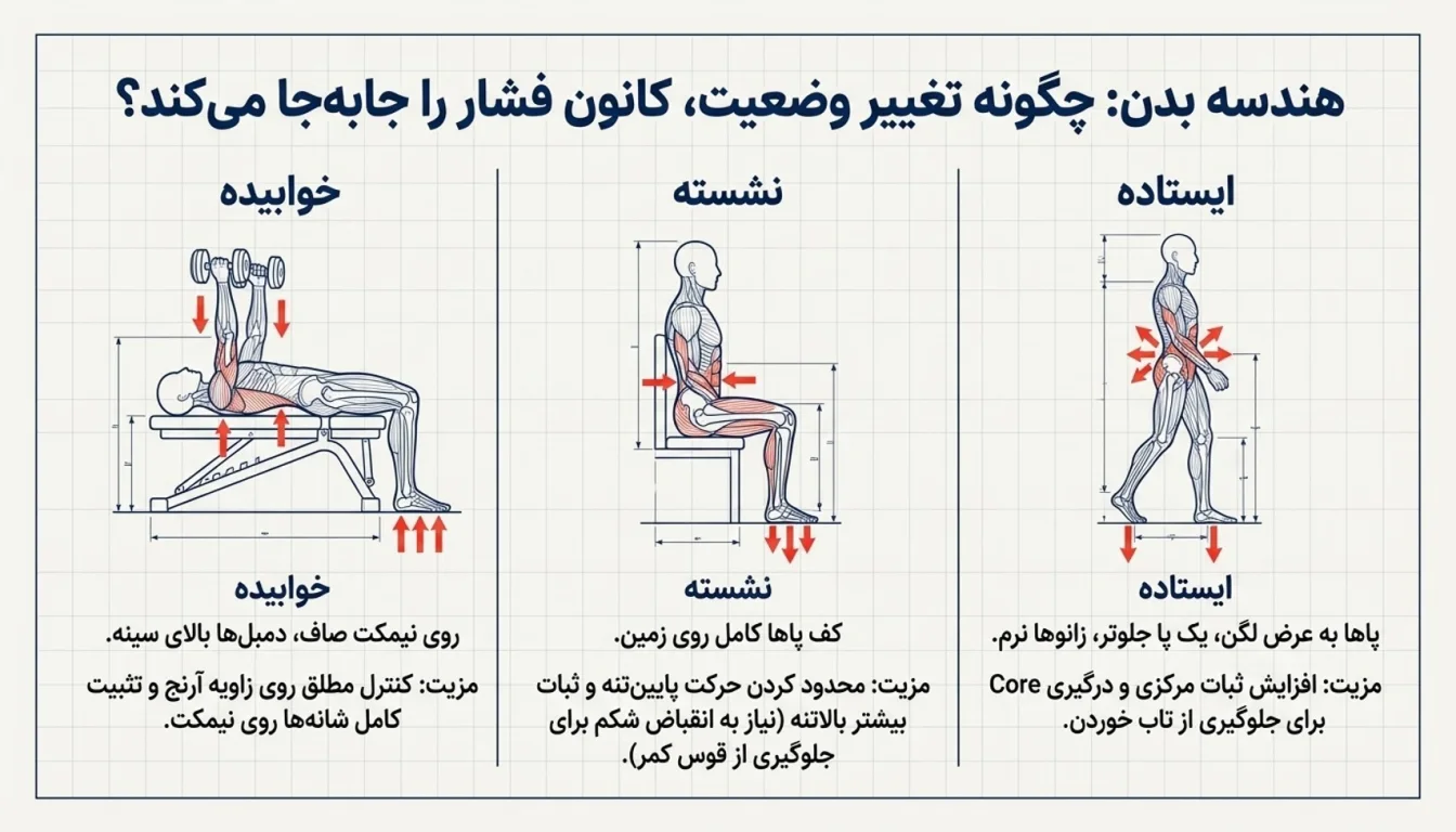 پشت بازو سوئینگ دمبل نشسته-پشت بازو سوئینگ دمبل خوابیده-پارسی پودر