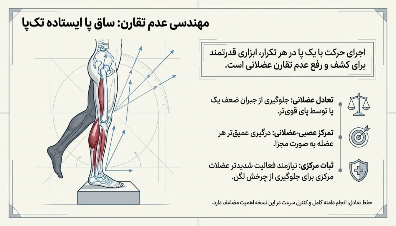 ساق پا ایستاده تک پا-ساق پا ایستاده- پارسی پودر