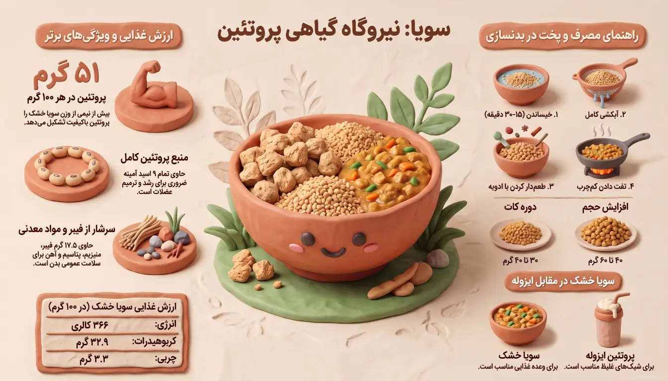 خواص سویا خشک-راهنمای پخت سویا خشک-سویا خشک-سویا برای بدنسازی-پارسی پودر