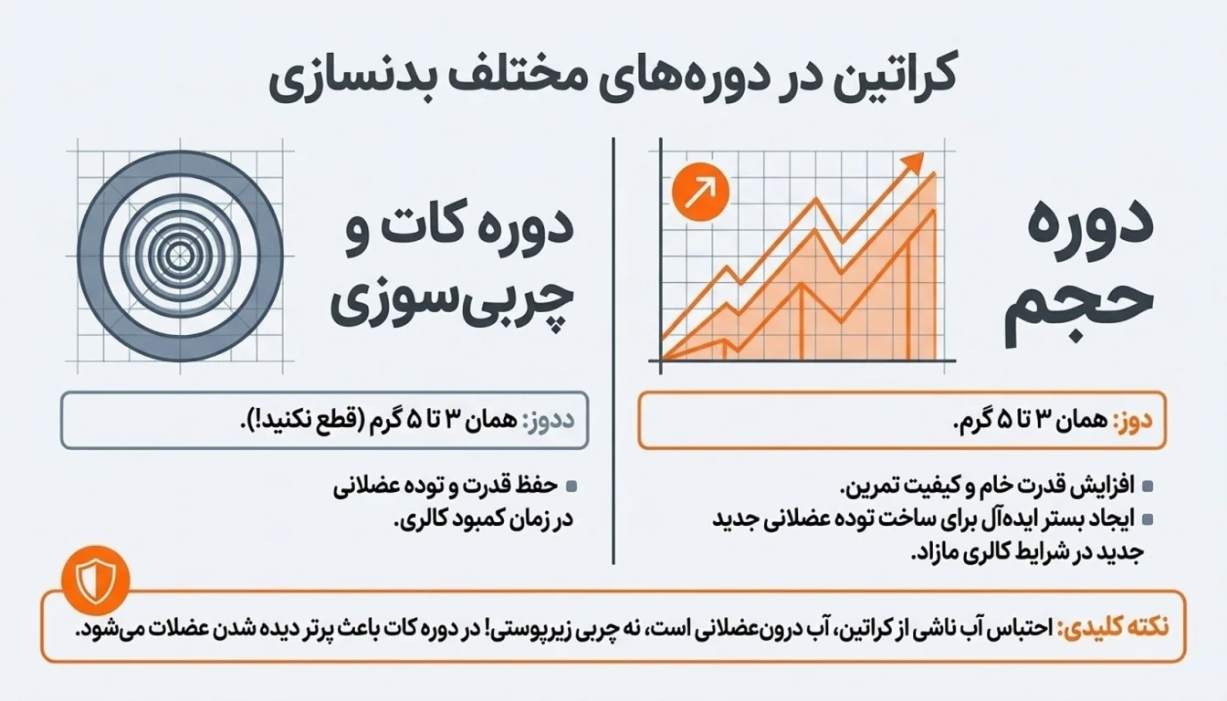 مصرف کراتین در دوره حجم-مصرف کراتین در دوره کات-مصرف کراتین-نحوه مصرف کراتین-پارسی پودر