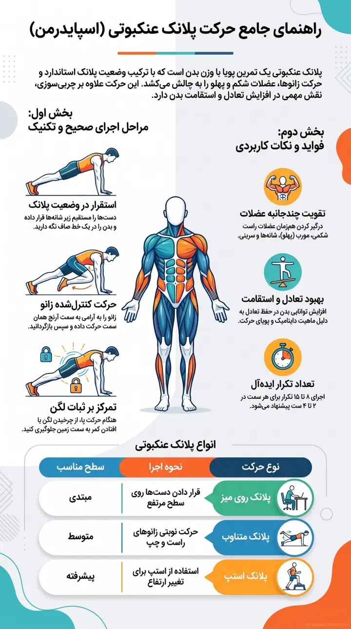 راهنمای جامع پلانک عنکبوتی-فواید پلانک عنکبوتی-آموزش پلانک عنکبوتی-پلانک اسپایدر-پارسی پودر