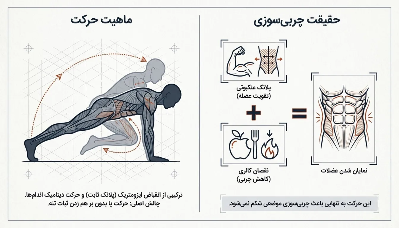 پلانک اسپایدر-پلانک عنکبوتی-پارسی پودر