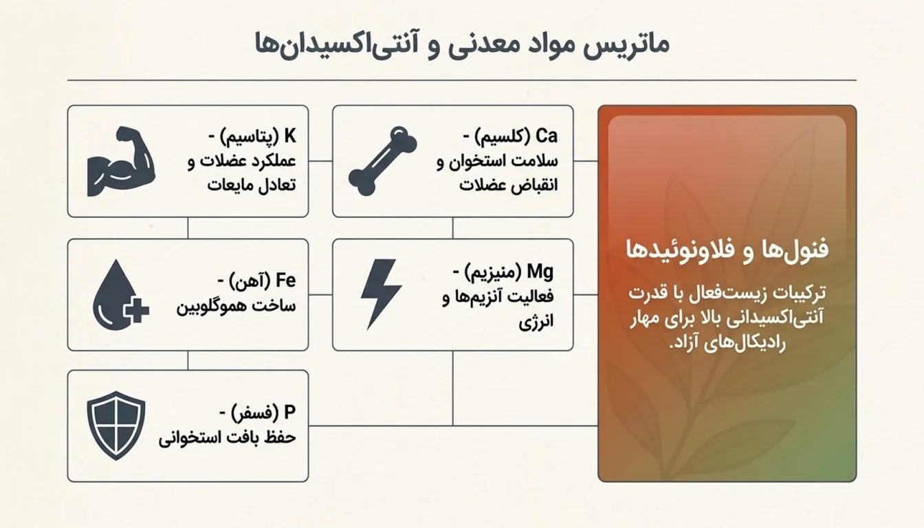 ترکیبات پودر سنجد-خواص پودر سنجد-پارسی پودر