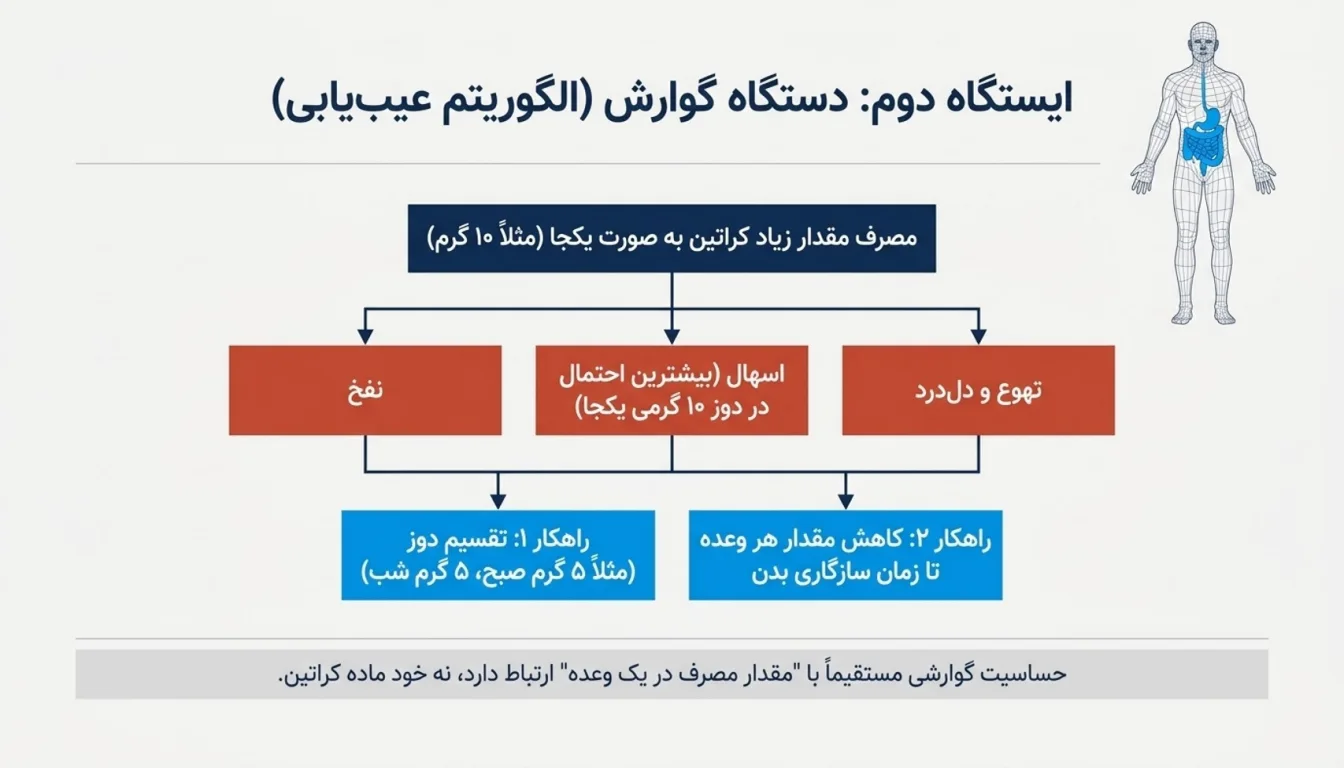 مشکلات گوارشی؛ نفخ، دل درد، تهوع و اسهال-عوارض کراتین-عوارض مصرف کراتین-پارسی پودر