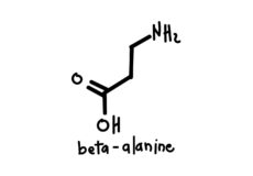 beta alnine بتا آلانین چیست ؟ + فواید , معایب و نحوه مصرف | راهنمای کامل شما برای بتا آلانین پارسی پودر