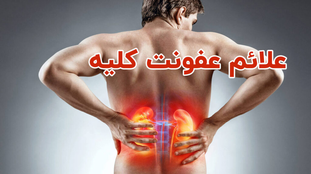 درد کمر, مجله پارسی پودر