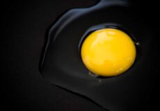 closeup raw egg پروتئین وی آلبومین | فواید و عوارض وی البومین + قیمت پارسی پودر