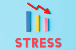 پارسی پودر, پارسی پودر