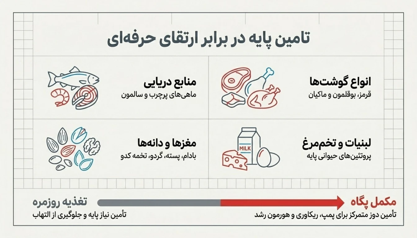 غنی ترین منابع غذایی حاوی ال آرژنین