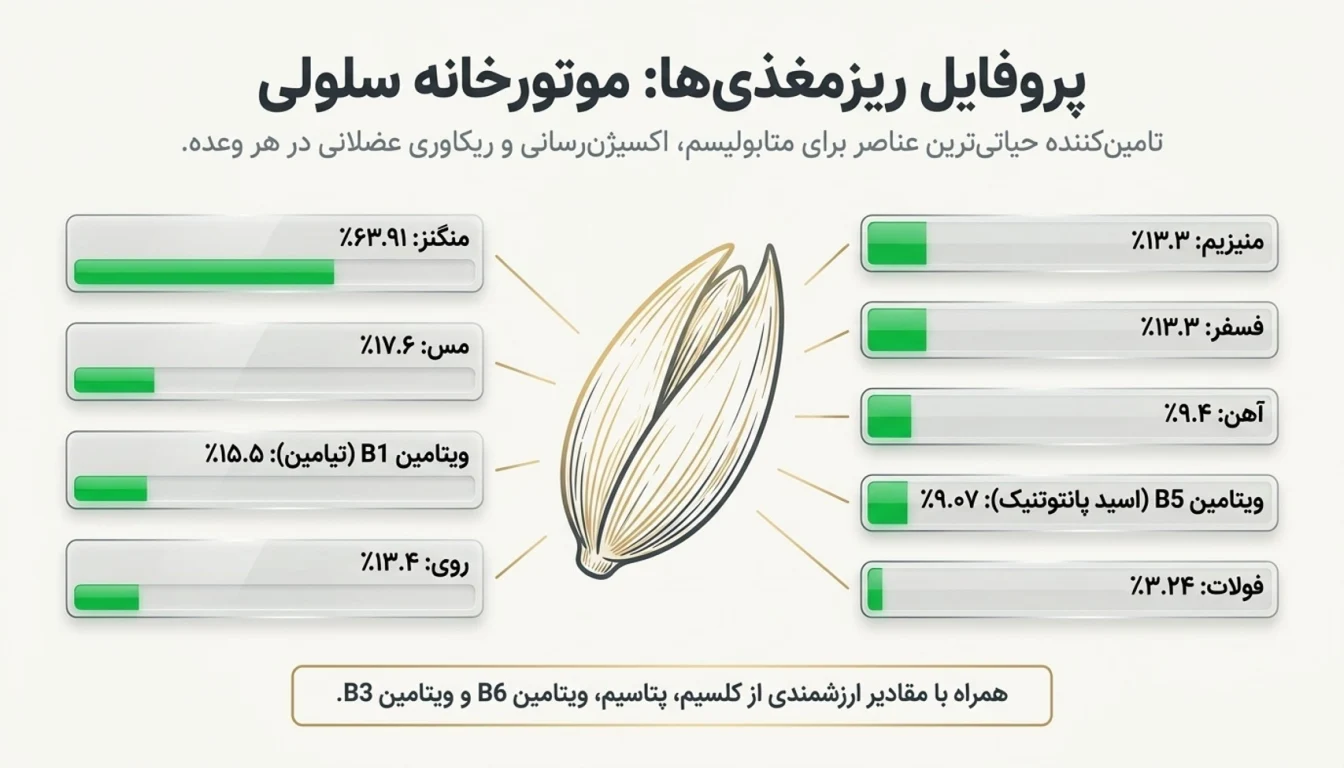 ارزش غذایی جو دو سر