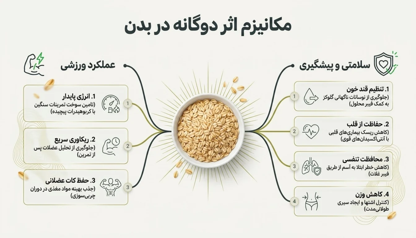 جو دوسر چه خواصی دارد؟