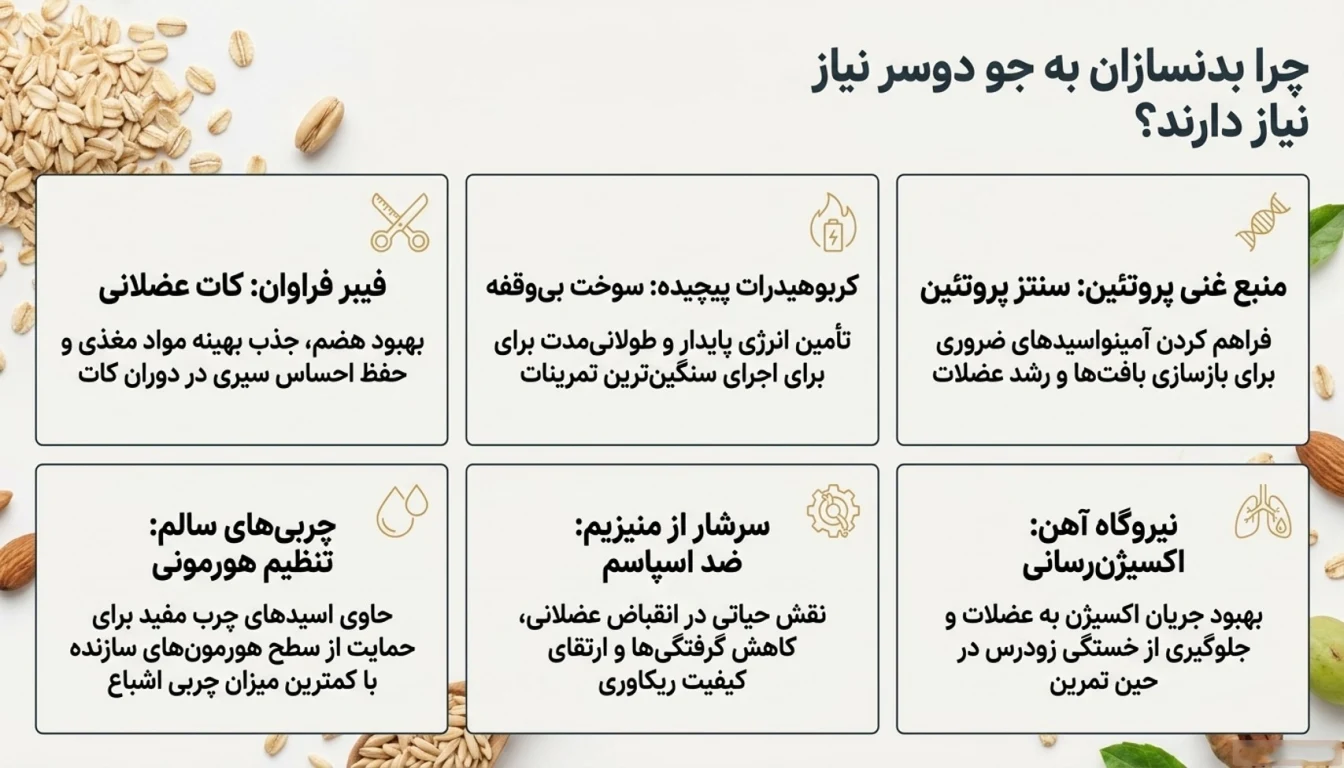 جو دوسر چه فوایدی برای بدنسازی و عضله سازی دارد؟