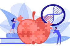 آنابولیسم چیست ؟ آموزش علمی و ساده اما جامع