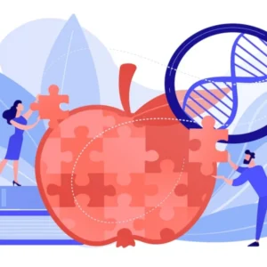 آنابولیسم چیست ؟ آموزش علمی و ساده اما جامع