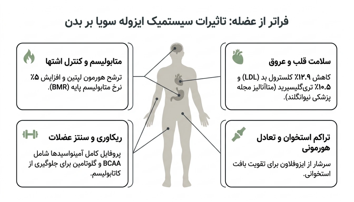 فواید و خواص پروتئین سویا ایزوله؛ از عضله سازی تا سلامت قلب