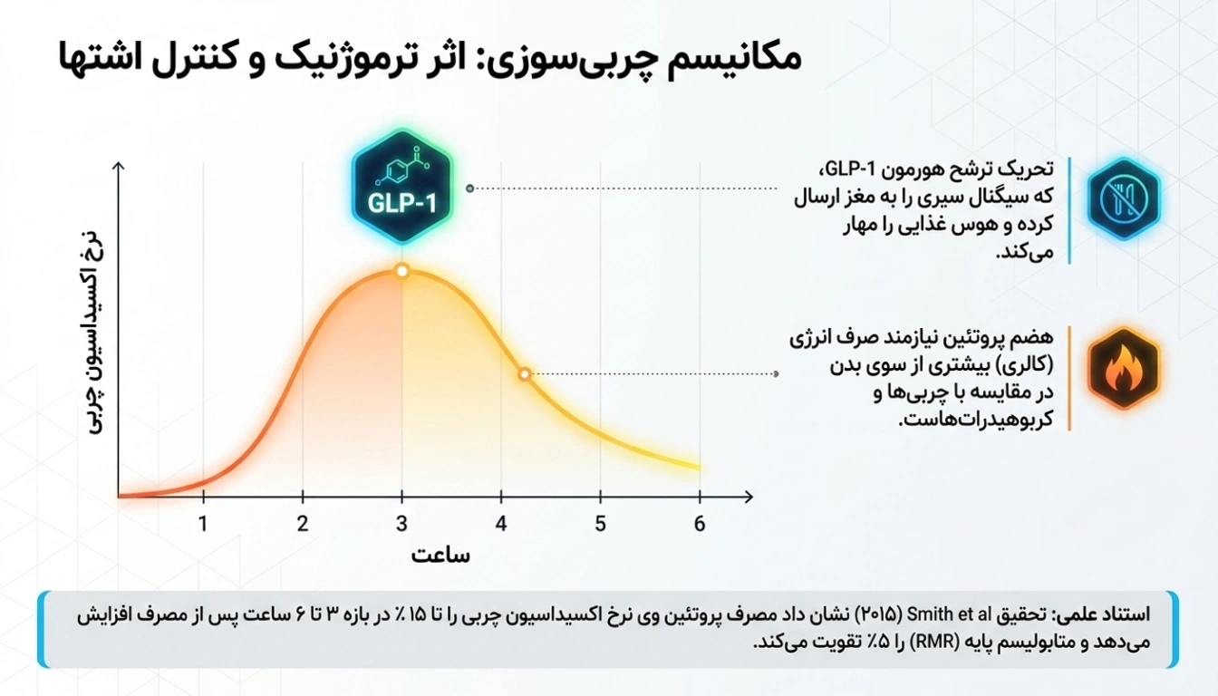 چربی سوزی با وی پگاه خراسان