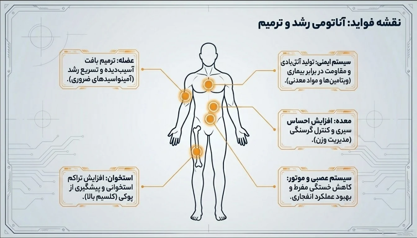 فواید مصرف پودر پروتئین پگاه
