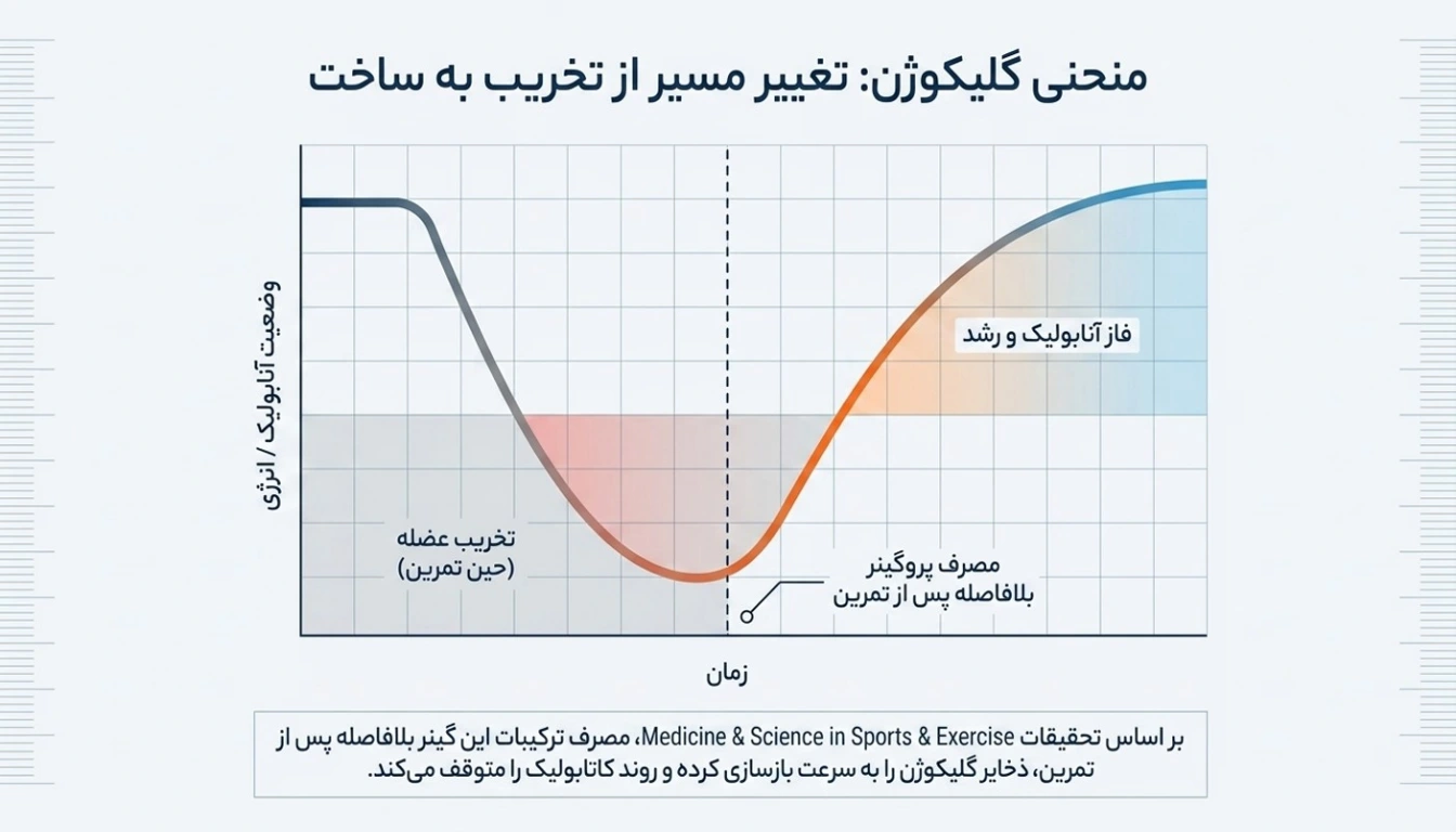 نکات مهم در مصرف گینر