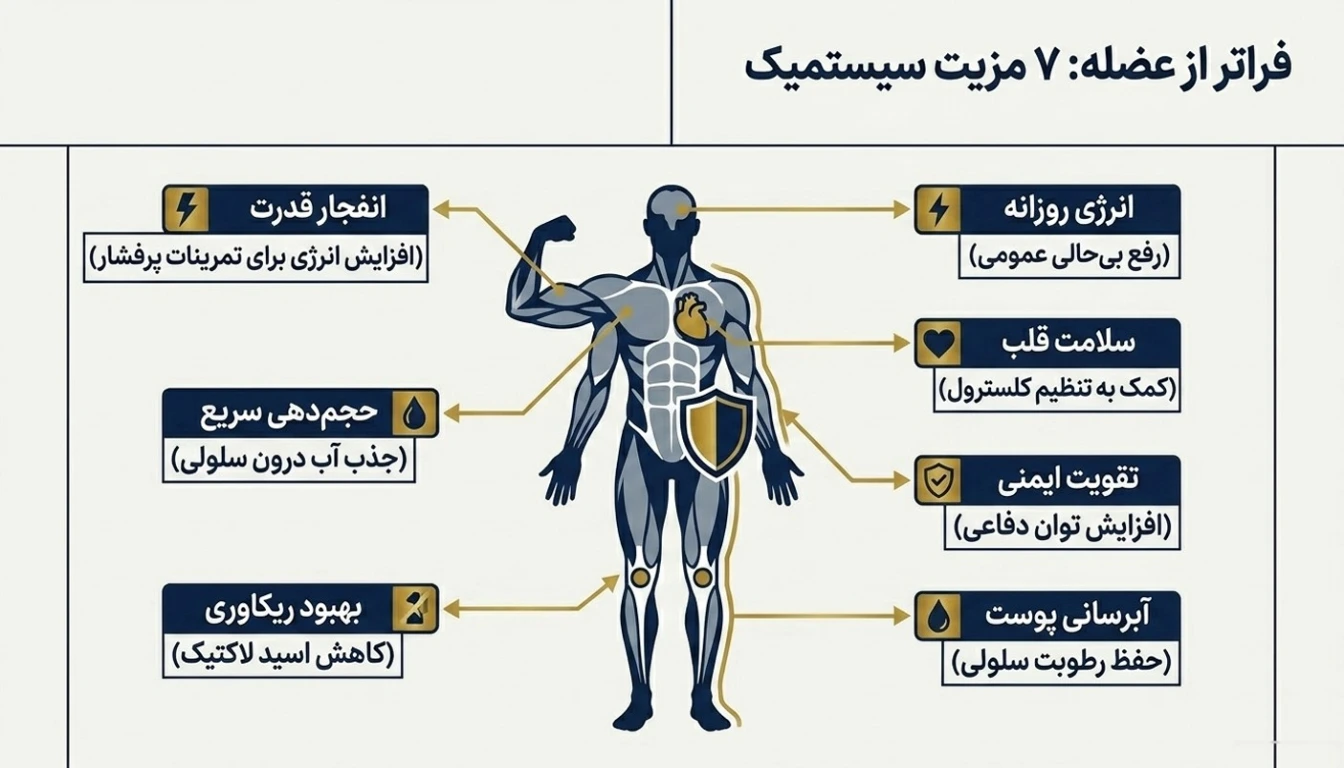 مزایای طلایی کراتین مونوهیدرات فودکم