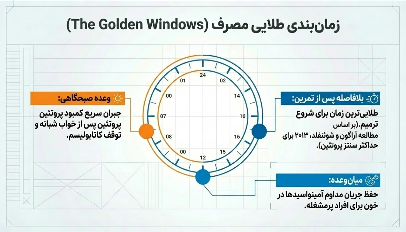 راهنمای مصرف هوشمندانه پروتئین وی پگاه ۶۰٪