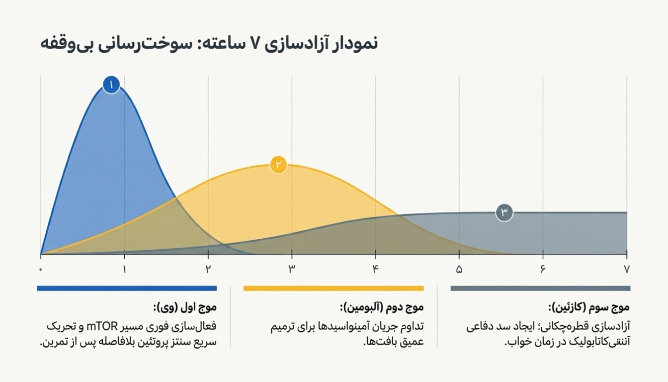 پروتئین ترکیبی آلبومیلک-خرید مکمل آلبومیلک-قیمت قیمت پروتئین ترکیبی آلبومیلک-پارسی پودر