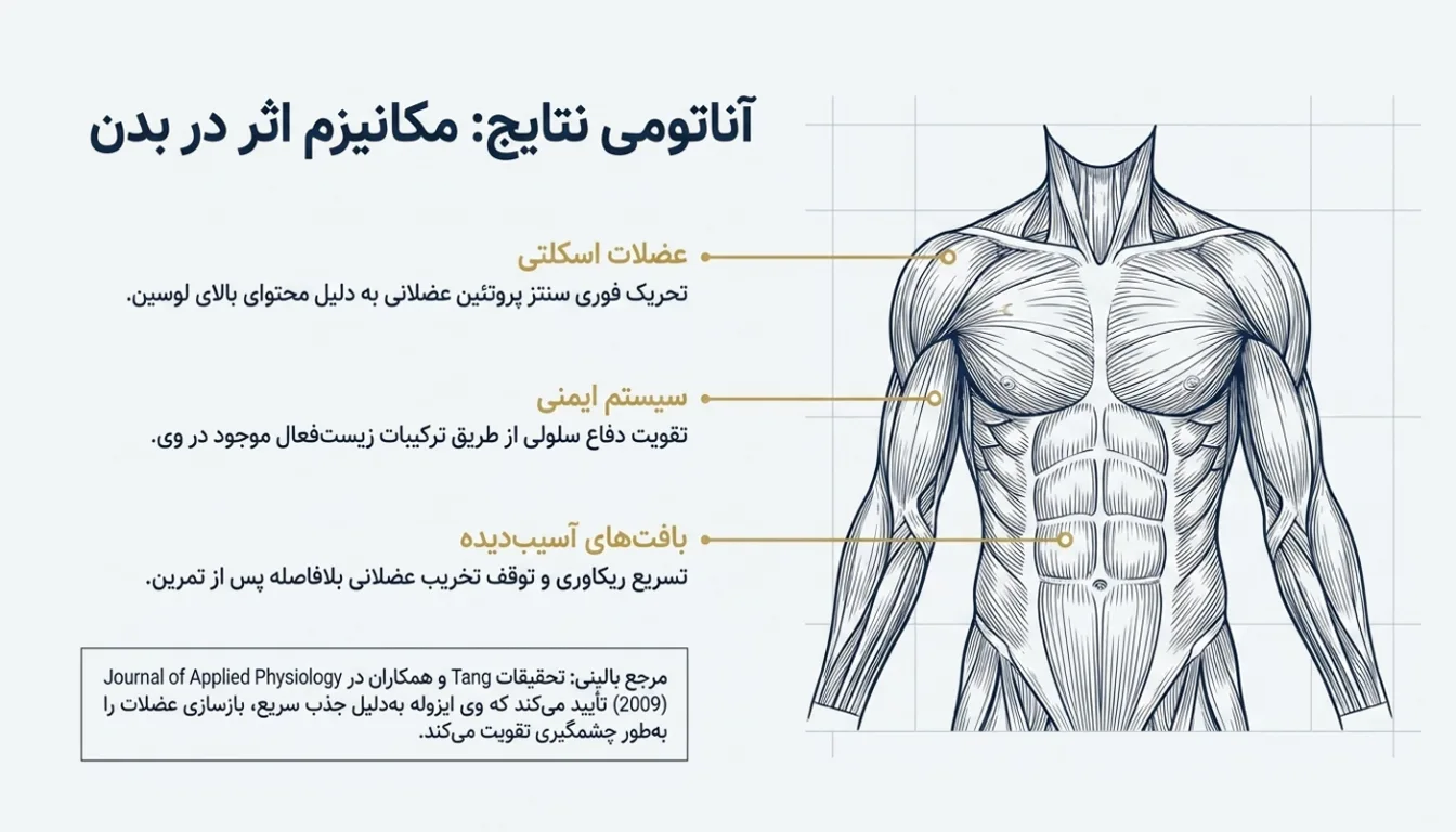 فواید مکمل پروتئین وی ایزوله هیلمار