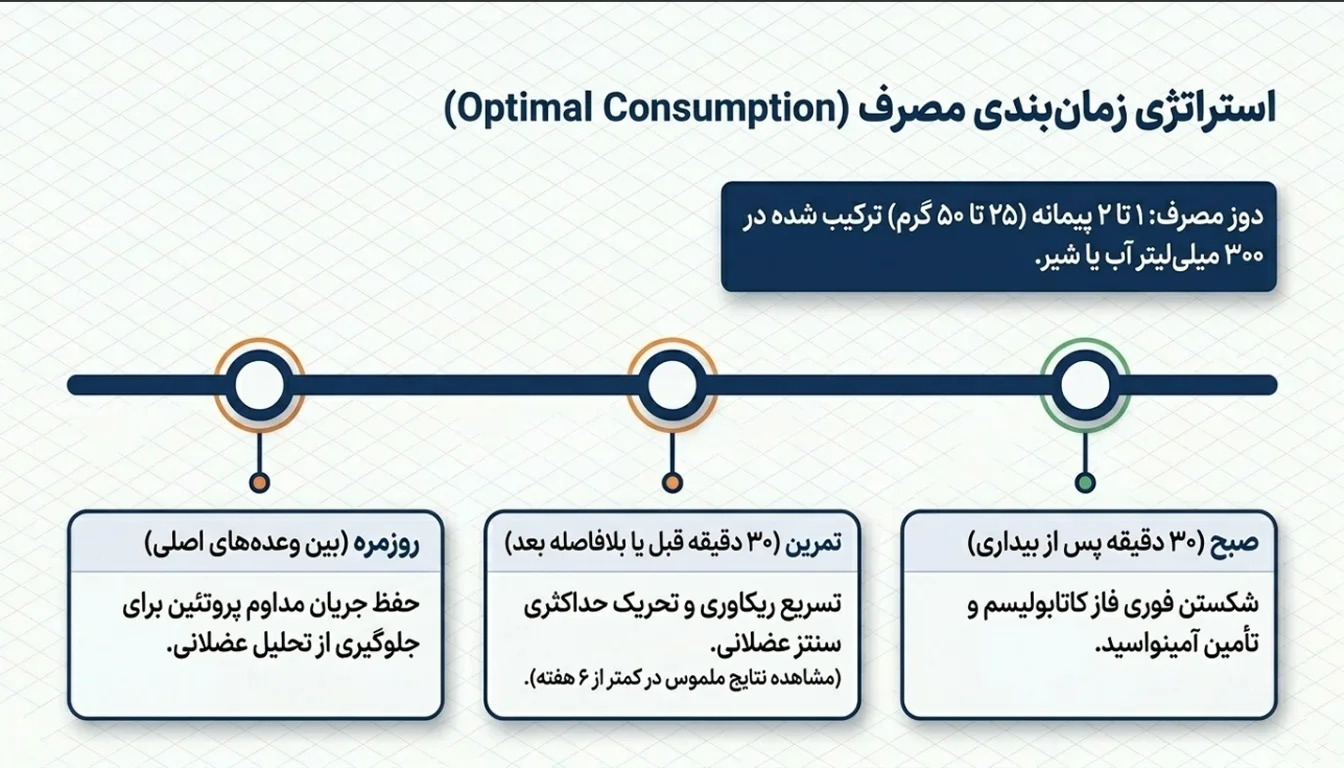 نحوه مصرف پروتئین وی هیلمار